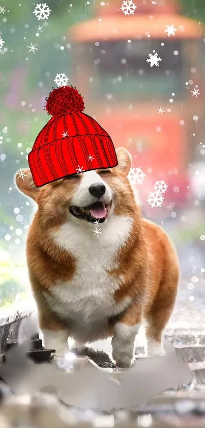 Dog Carnivore Hat Live Wallpaper