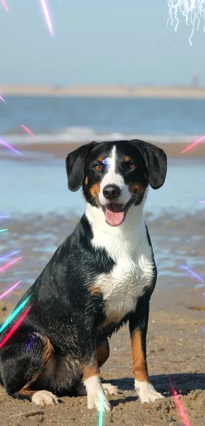 sea breeze  Live Wallpaper