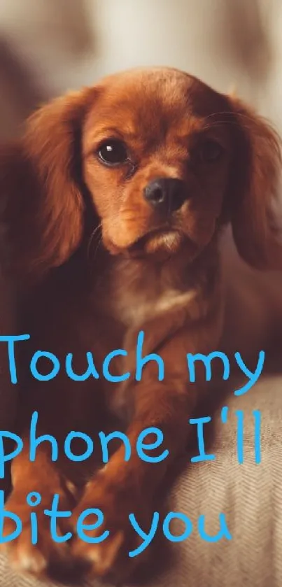 cute Live Wallpaper