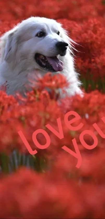 Dog Flower Plant Live Wallpaper