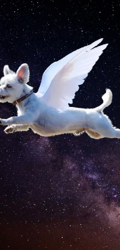 Dog with angel wings flying through space in a night sky wallpaper.