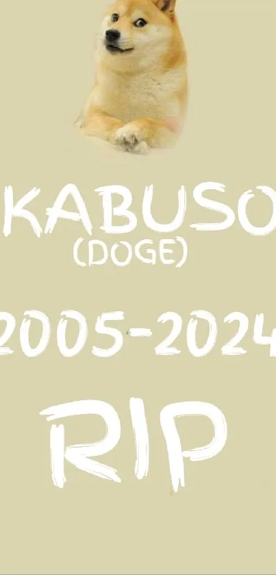 Dog Font Gesture Live Wallpaper