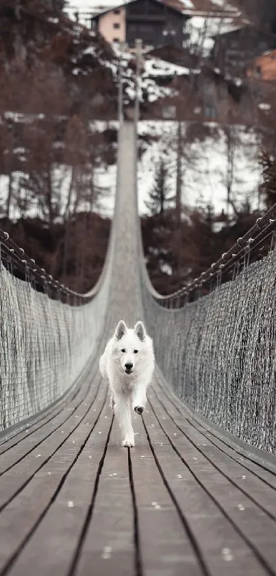 Dog confidently walking on a suspension bridge in a scenic landscape.