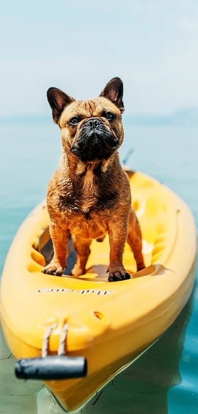 Adorable dog sitting on a yellow kayak in blue waters.