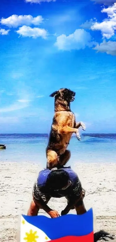 Dog performing on a beach with a blue sky and flag.