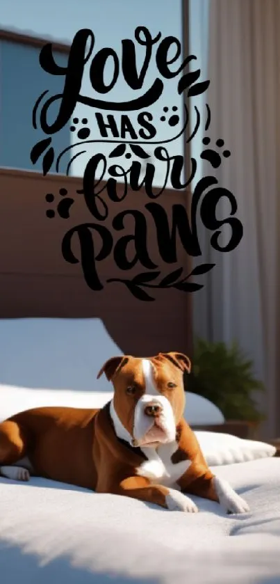 Dog lying on bed with 'Love Has Four Paws' quote in elegant lettering.