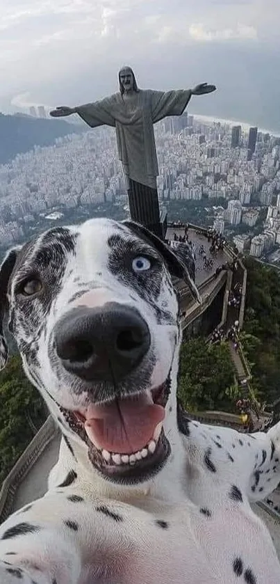 Happy dog in front of Christ the Redeemer in Rio.