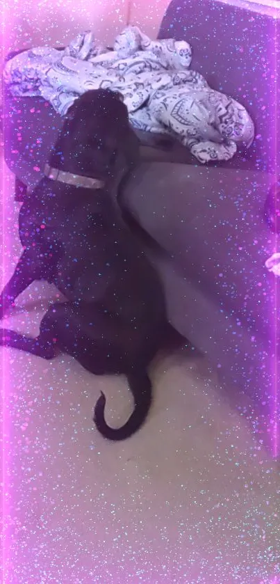 Black dog with purple sparkle glow effect.