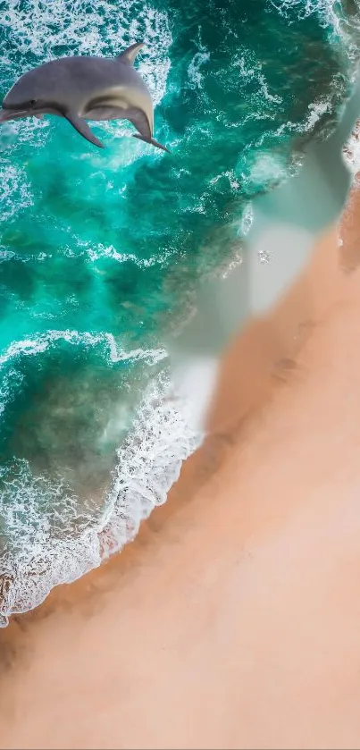 Dolphin swimming by a beautiful beach with teal water.