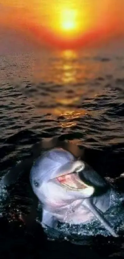 Dolphin joyfully swimming in sunset ocean waves.