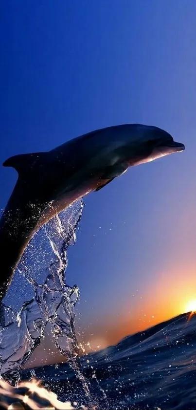 Dolphin leaps against a sunset backdrop, creating a stunning and serene view.