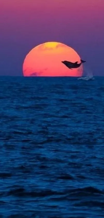 Dolphin leaping at sunset over the ocean.