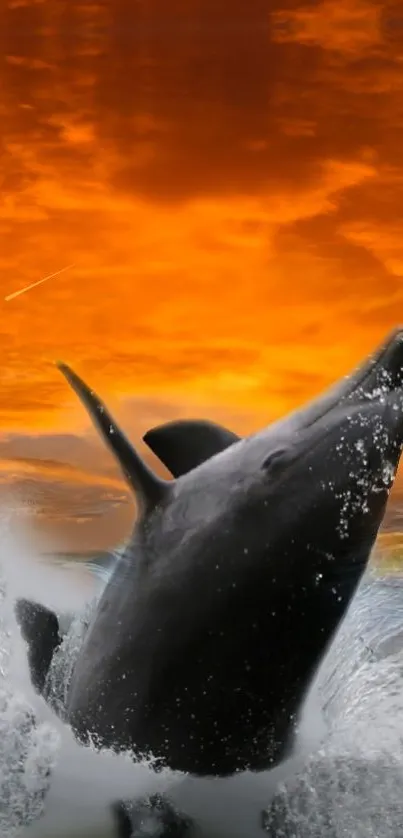 Dolphin leaping through waves with a vibrant orange sunset in the background.