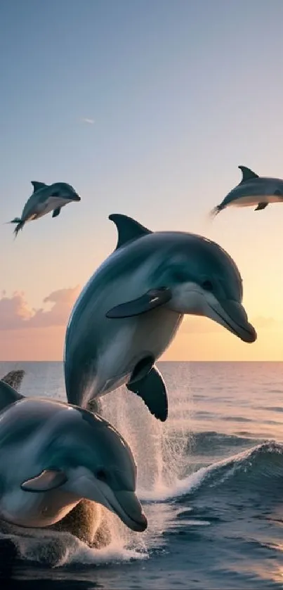 Dolphin Fish Bottlenose Dolphin Live Wallpaper