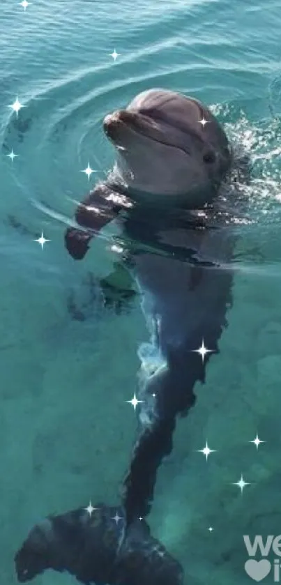 Dolphin swimming in clear aqua waters, ideal for mobile screens.