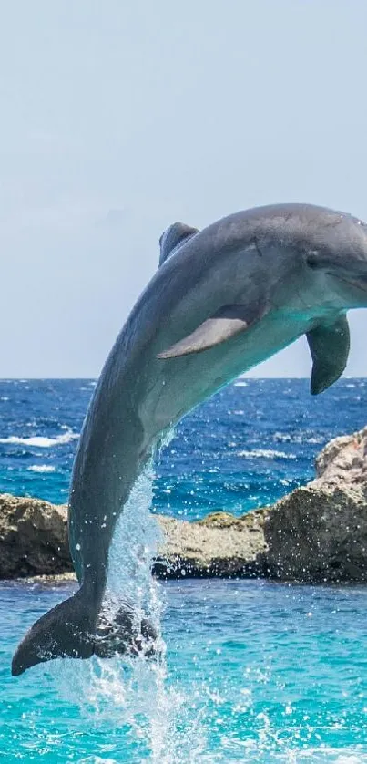 Exciting scene of dolphin leaping in the blue sea with rocky backdrop.