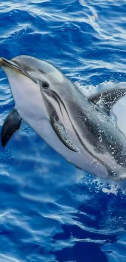 Dolphin jumping through vibrant blue ocean waves, capturing nature's beauty.