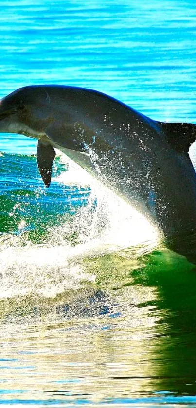 Dolphin leaps through the turquoise ocean waves, creating a serene scene.