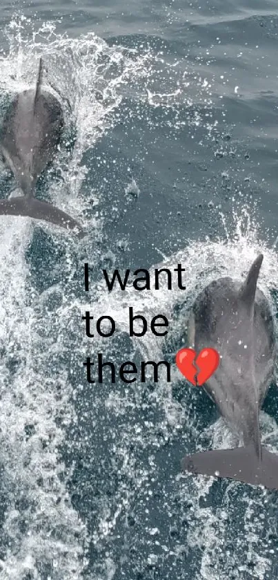 Dolphins swimming in the ocean with the text 'I want to be here'.