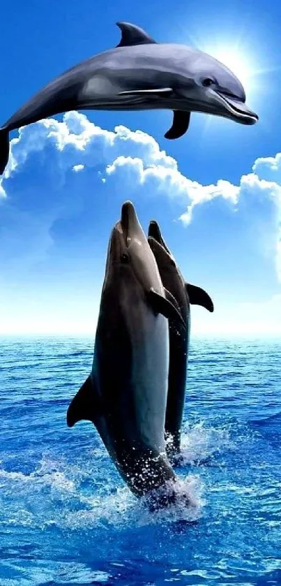 Dolphins jumping in blue ocean under sunny sky.