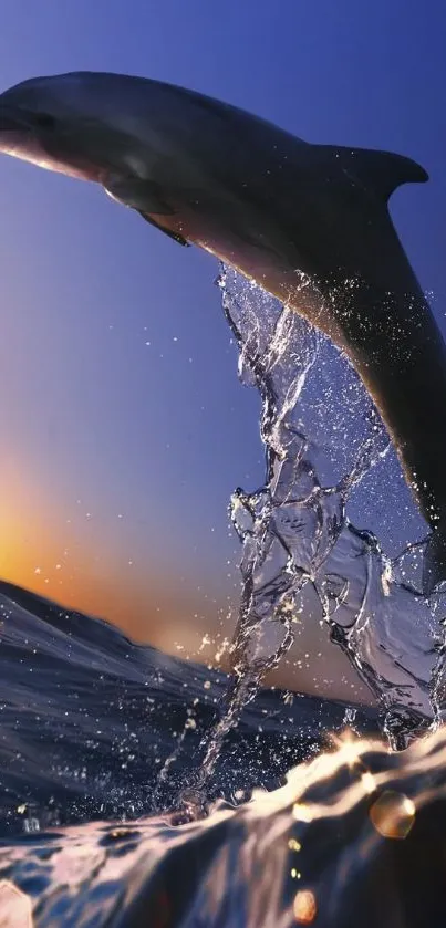 Dolphin leaping over ocean at sunset.