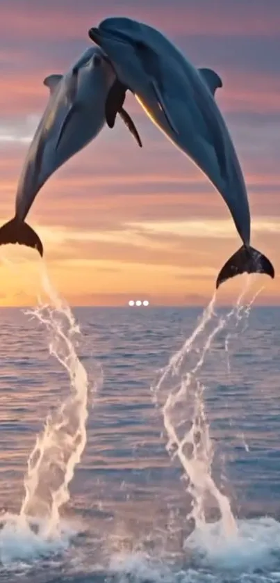 Two dolphins leaping at sunset over the ocean.