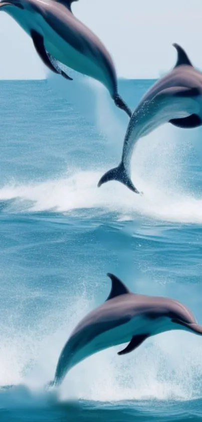 Three dolphins leap from the blue ocean waves, creating a dynamic marine scene.