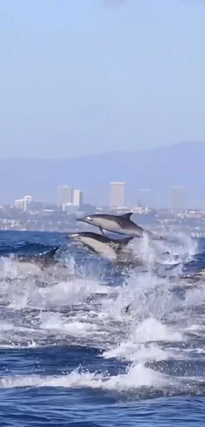 Dolphins leaping in ocean with a distant city skyline.