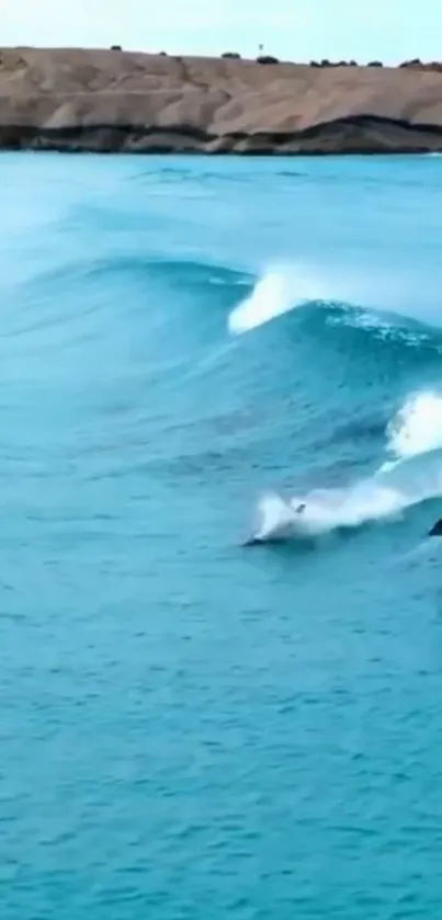 Dolphins gracefully surfing ocean waves with stunning blue waters.