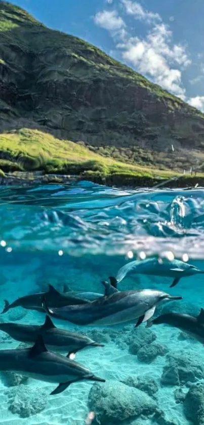 Dolphins swimming underwater with a scenic landscape backdrop.