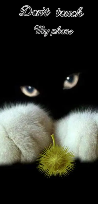 Cat with glowing eyes warns 'Don't Touch My Phone' on a dark wallpaper.