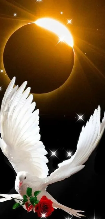 White dove with rose beneath solar eclipse.