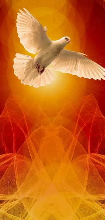 White dove with glowing orange abstract background.