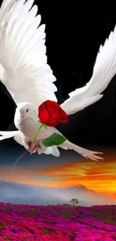 Dove carrying a red rose with sunset and landscape background.