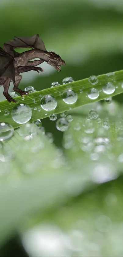 Dragon perched on dewy green leaves, blending fantasy and nature.