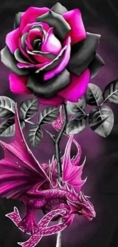 Vibrant pink dragon with black rose on a dark background.