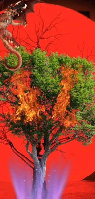 Fantasy art with dragon and burning tree on bright red background.