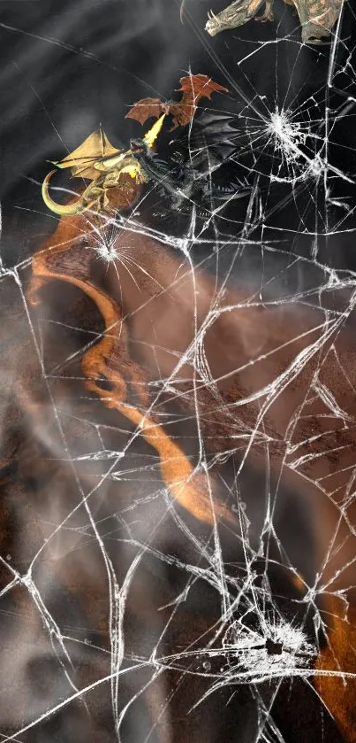 Dragon and cracked glass on dark brown wallpaper.
