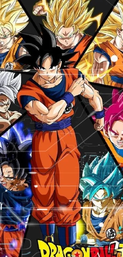 Dragon Ball characters collage in vibrant colors.