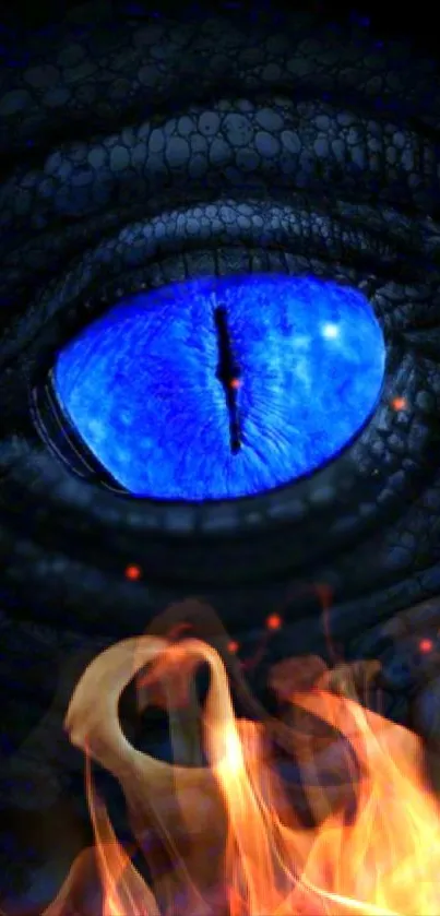 Vivid blue dragon eye with fiery background.