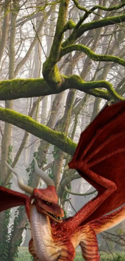 Fierce red dragon surrounded by an enchanting forest.