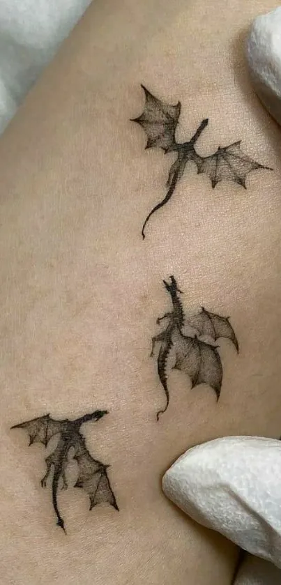 Three delicate dragon tattoos on skin.