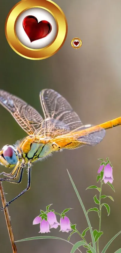 Dragonfly on branch with pink flowers and heart emblem on mobile wallpaper.