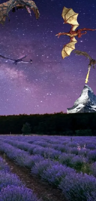 Dragons soar above lavender fields under a starry night sky.