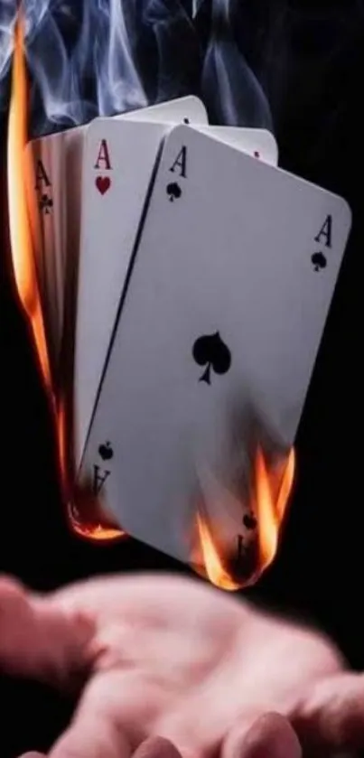 A hand holding burning playing cards in dramatic black background.