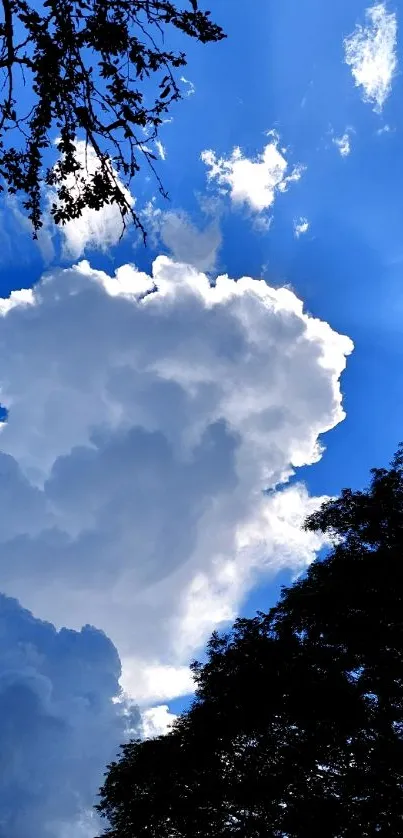 Dramatic cloudy sky with blue background and tree silhouette.