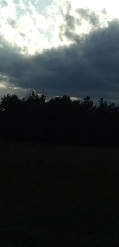 Dramatic cloudy sky over dark forest wallpaper.