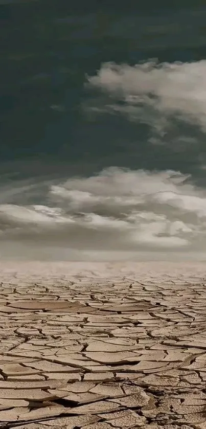 Parched desert under a stormy, cloud-filled sky.