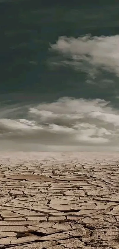 Cracked desert floor with dramatic clouds in the sky.