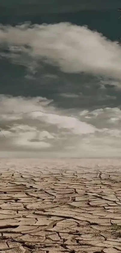 Dramatic desert storm with cracked earth and cloudy sky.